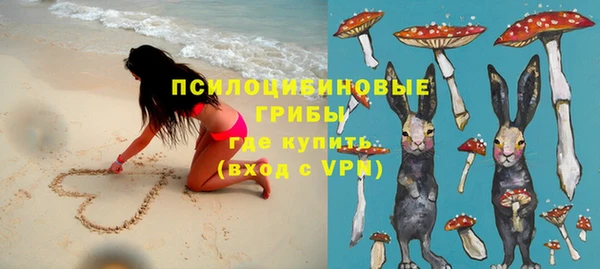 дмт Каменка