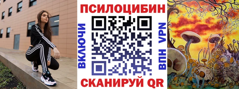 Галлюциногенные грибы Psilocybine cubensis  Кириши 